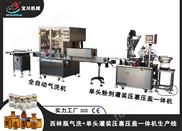 西林瓶全自動氣洗機+單頭
